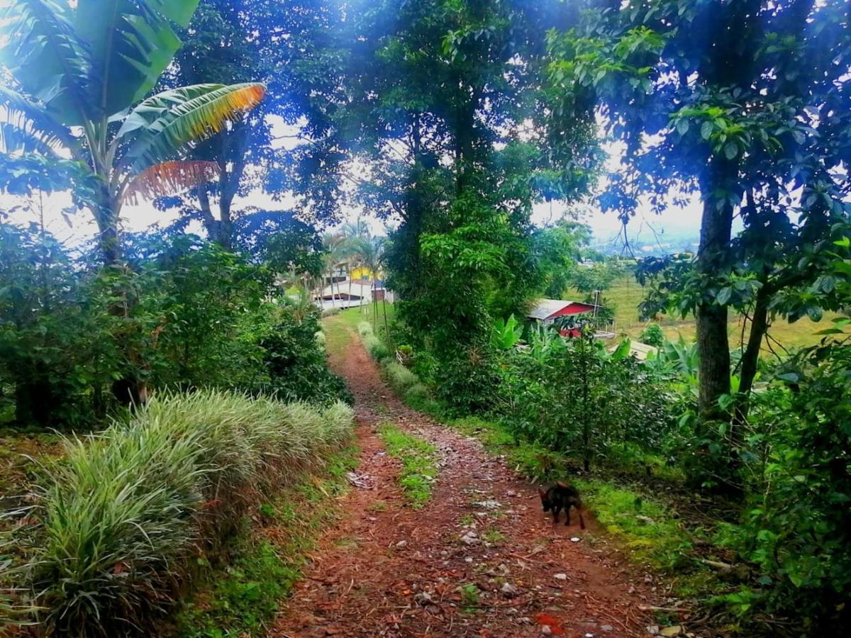 Finca turistica Santa Clara Ostello Calarcá Esterno foto